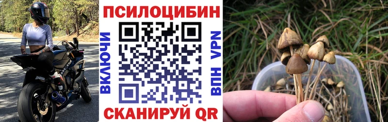 Купить закладки  Соликамск  Галлюциногенные грибы ЛСД 