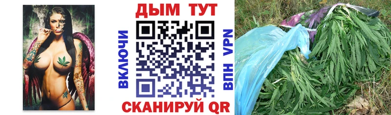 Бошки Шишки планчик  Купить где  Соликамск 
